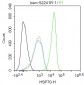 HSP70 Recombinant Rabbit mAb